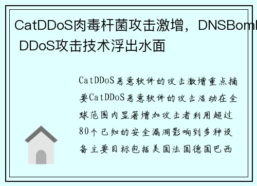 CatDDoS肉毒杆菌攻击激增，DNSBomb DDoS攻击技术浮出水面 